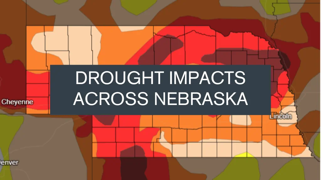 Drought Impacts Across Nebraska