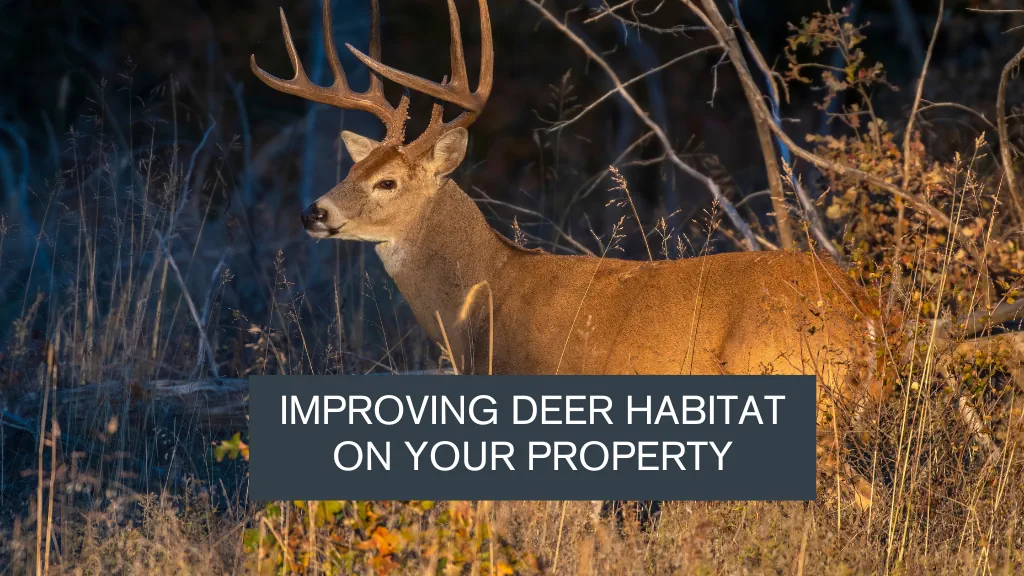 Improving Deer Habitat on your Property